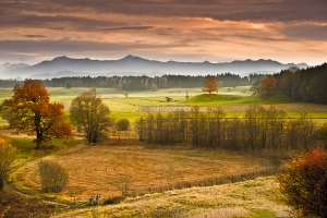 nature.