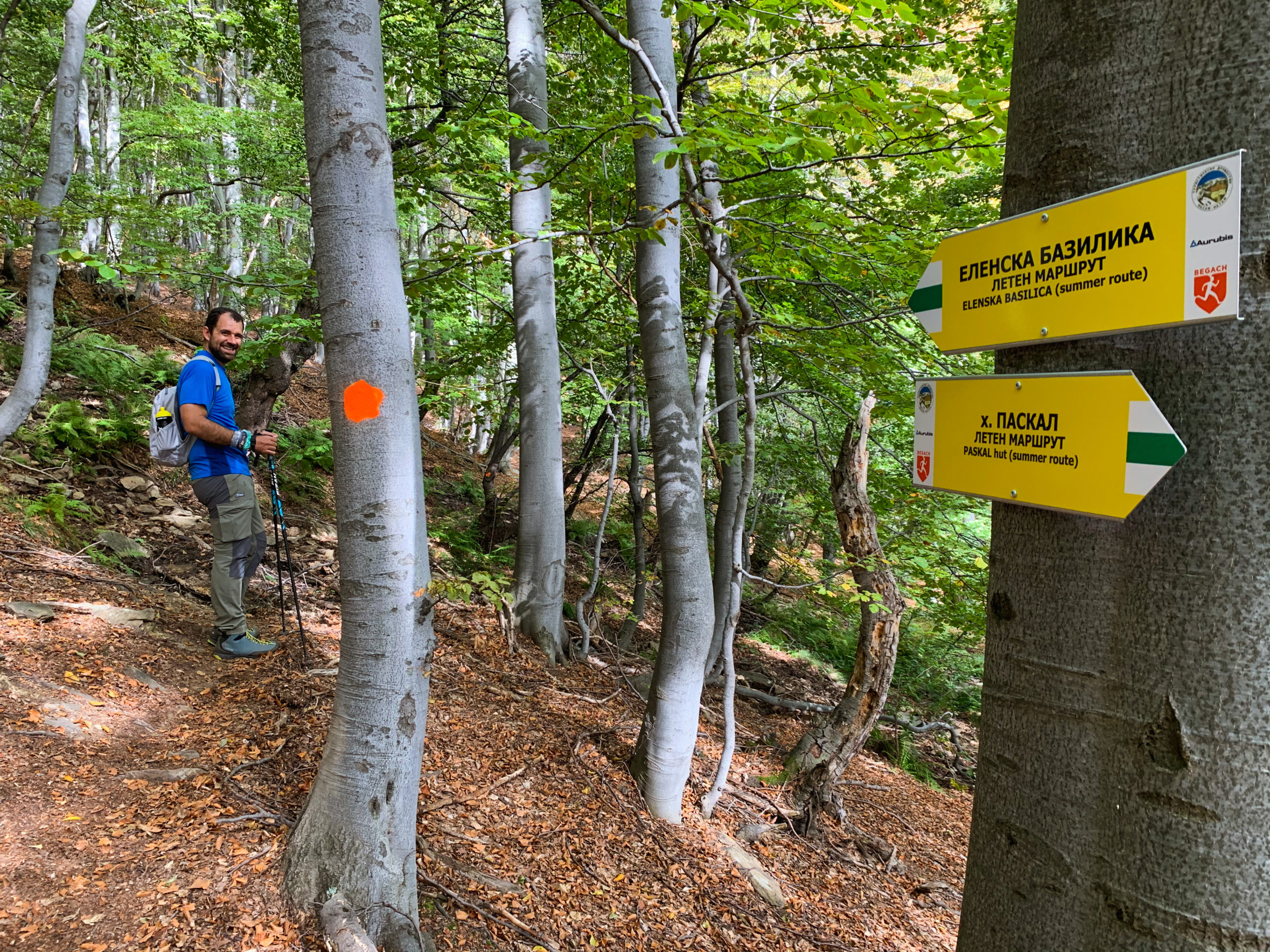 4A6E35C4-3868-4E41-BEFB-572FDFA88621-Vassilena-Valchanova