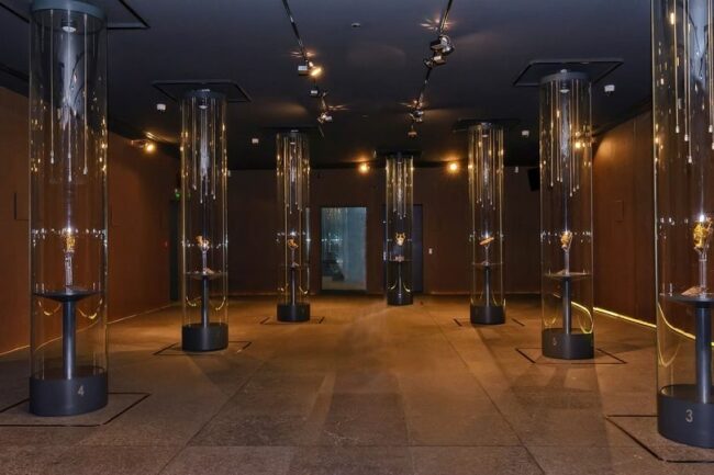 265375562_5417317711635270_1568397709777026076_n