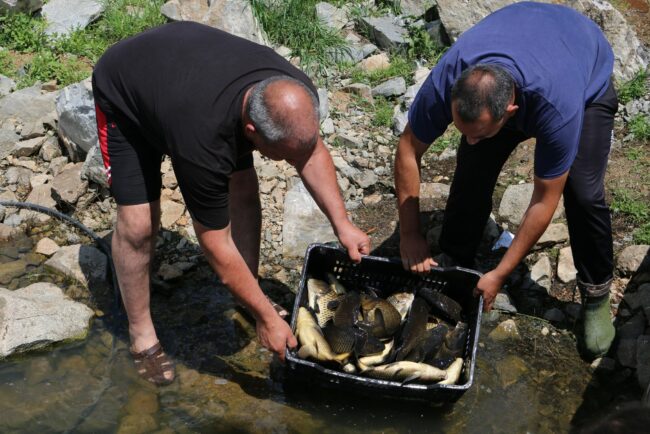 284875603_541566100940892_7707742504486884232_n