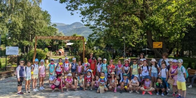 Summer-school1-750×375-1