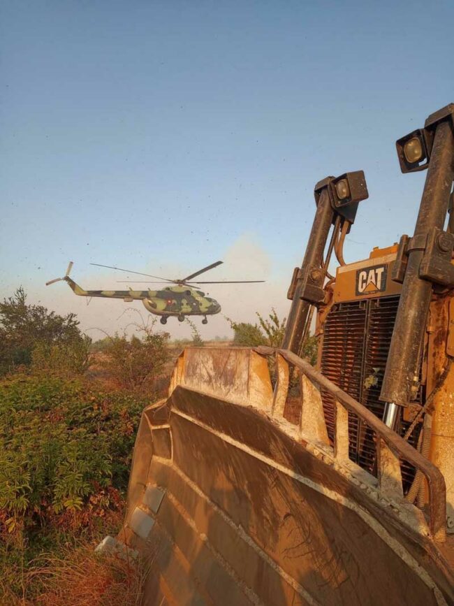 d0bfd0bed0b6d0b0d180-d095d0bbd188d0b8d186d0b0-d090d181d0b0d180d0b5d0bb