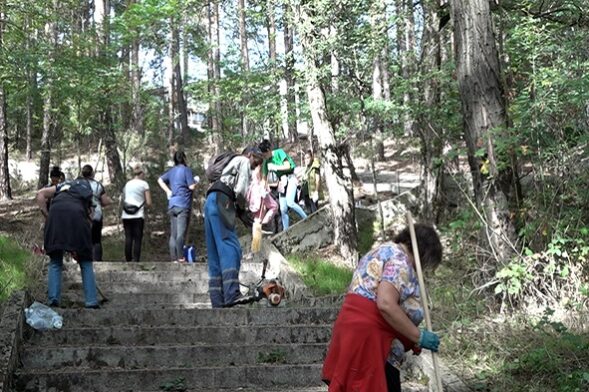 p_chistene-133333333