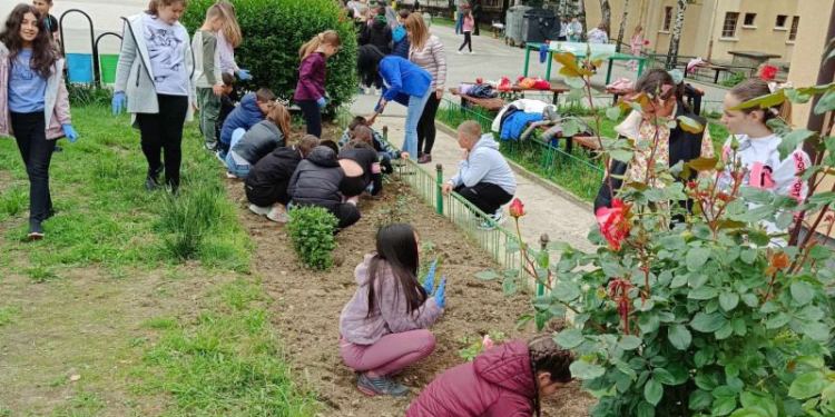 3-1-e1716373936178-750×375