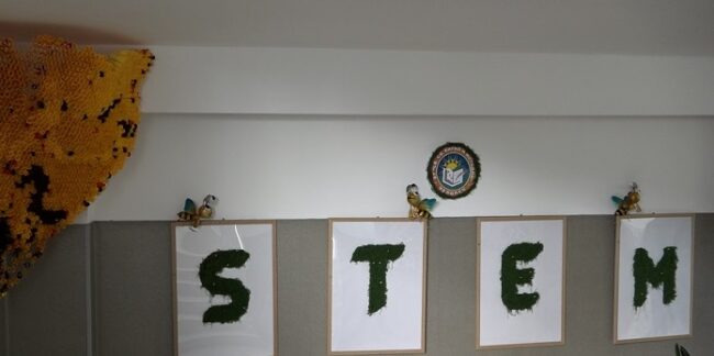 ch_stem